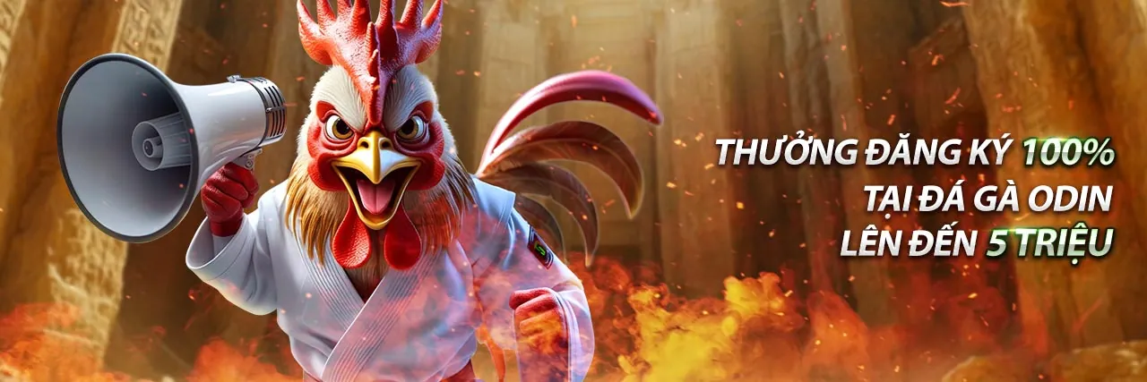 Trực tiếp đá gà chất lượng cao